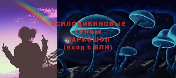 ГАЛЛЮЦИНОГЕННЫЕ ГРИБЫ Инта