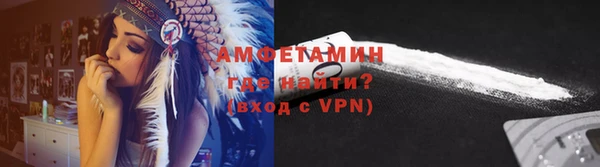 ГАЛЛЮЦИНОГЕННЫЕ ГРИБЫ Инта