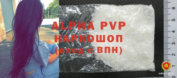 ГАЛЛЮЦИНОГЕННЫЕ ГРИБЫ Инта