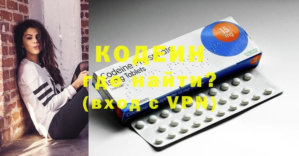 ГАЛЛЮЦИНОГЕННЫЕ ГРИБЫ Инта