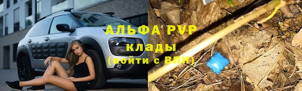 ГАЛЛЮЦИНОГЕННЫЕ ГРИБЫ Инта
