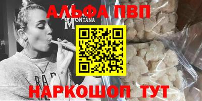 spice Кингисепп