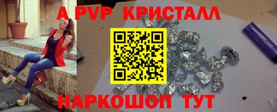 spice Кингисепп