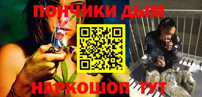 spice Кингисепп