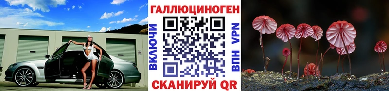 Галлюциногенные грибы Psilocybe  нарко площадка наркотические препараты  Удомля 