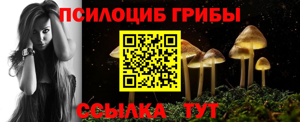 Удомля  Псилоцибиновые грибы прущие грибы  Вход с VPN 