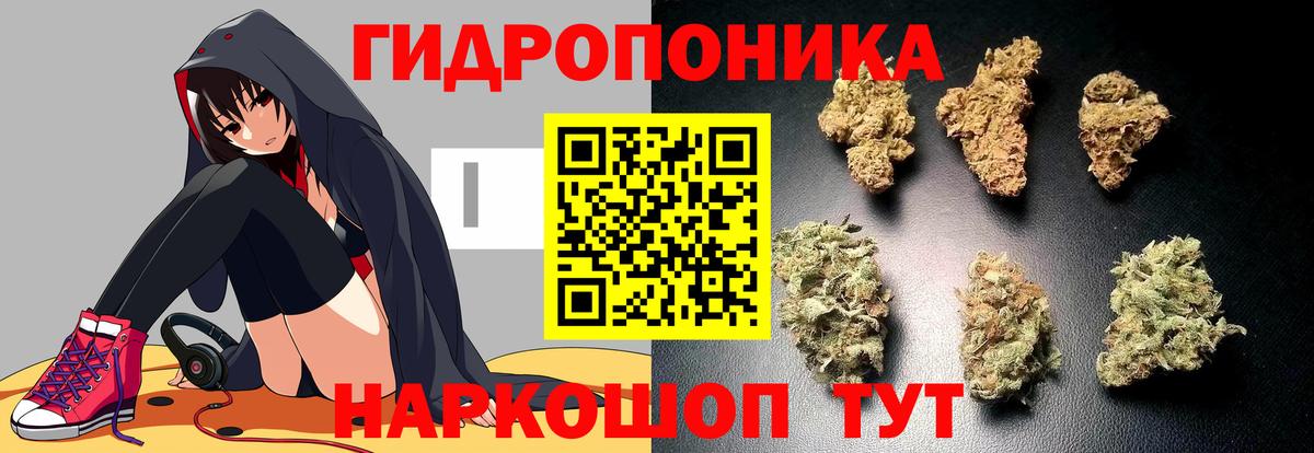 Бошки Шишки LSD WEED  Вход с VPN  Каннабис LSD WEED  Конопля Amnesia  Удомля 